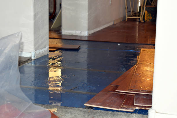 Professional Basement Flood Cleanup technician working in Pewaukee, WI